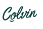Colvinco IT Coupon & Promo Codes